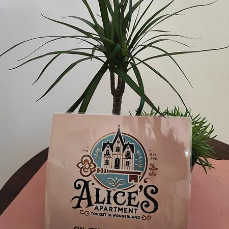 Alice's *